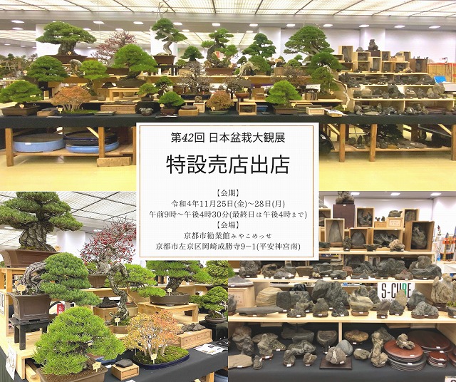 大観展売店お知らせ_2022_HP_png