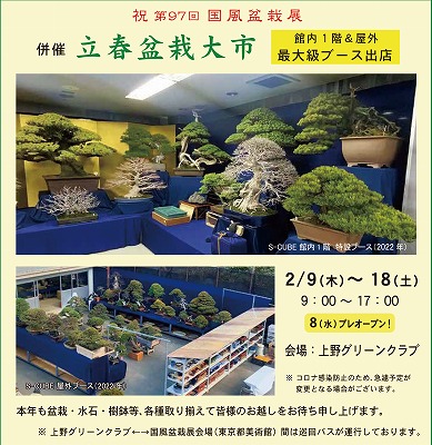 世界の盆栽・水石日本盆栽協会日本水石協会後援14000円今日の