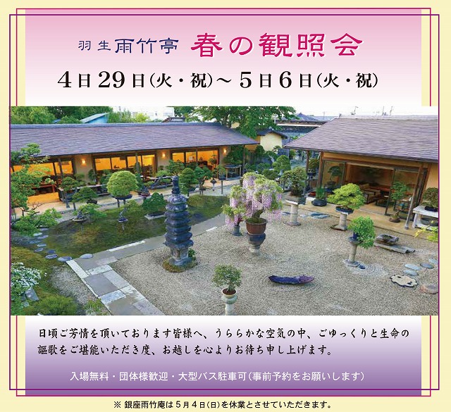春の鑑賞会2025_お知らせ投稿用