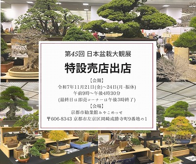 大観展売店お知らせ_2025