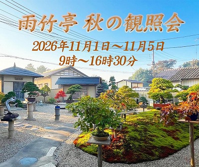秋の観照会_2026_SNS