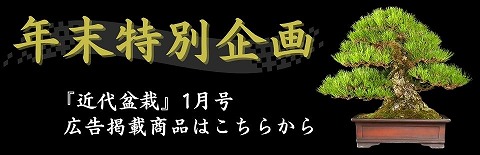 『近代盆栽』1月号広告用バナー