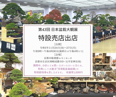 大観展売店お知らせ_2023