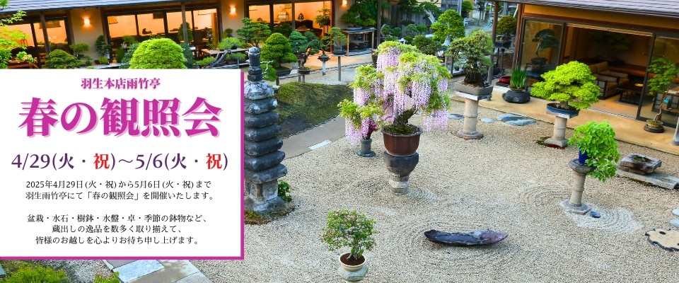 2025春の鑑賞会_ECバナー