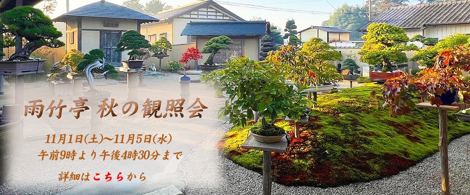 秋の観照会2025_ECバナー
