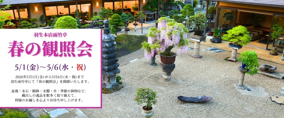 2026春の鑑賞会_ECバナー