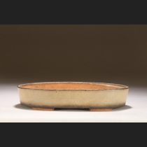 白交趾楕円（留佩）