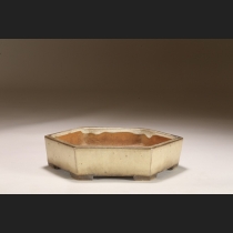 白交趾単縁六角