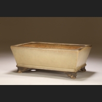 古渡白交趾単縁雲足長方