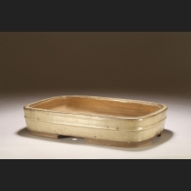 白交趾撫角胴紐長方